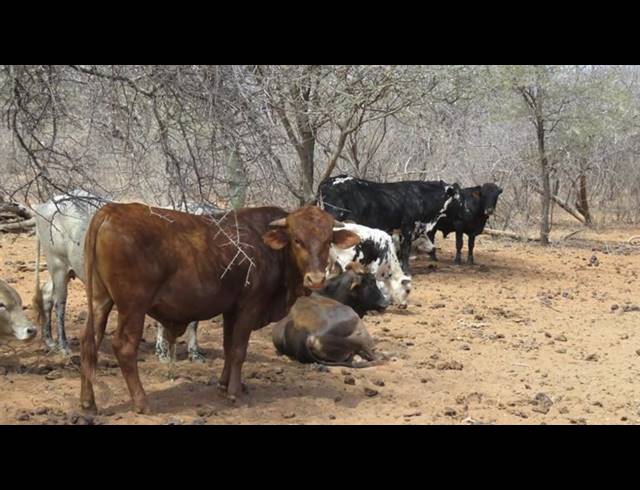 FARM FOR SALE IN BALTIMORE